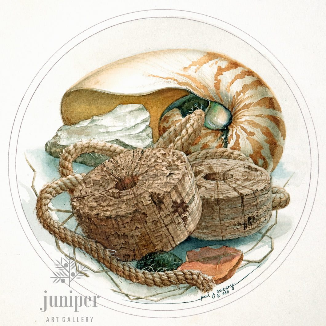 Dal Mare, Nautilus with Rope, reproduction from watercolor  by Paul J Sweany