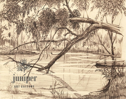 Willow Over Fall Creek, is a  reproduction from an original felt pen drawing by Paul J Sweany