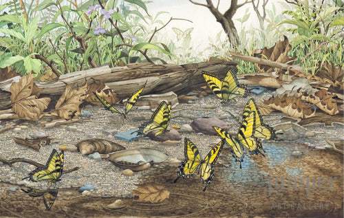 Gathering Place by Paul J Sweany