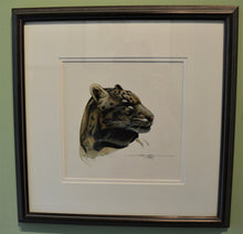 Jaguar, original watercolor by Paul J Sweany
