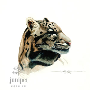 Jaguar Study (reproduction from original watercolor by Paul J Sweany)
