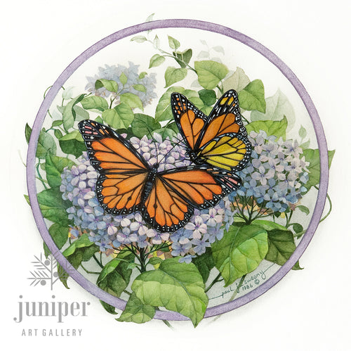 PJS-Reproduction - Monarch Butterflies