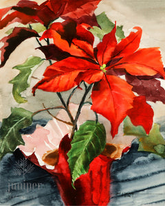 Poinsettia, reproduction from original watercolor by Paul J Sweany