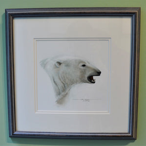 Polar Portrait, original watercolor by Paul J Sweany