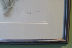 Artist's signature, Polar Portrait, by Paul J Sweany