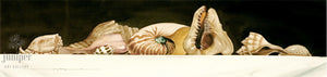 Seashell Study, original watercolor by Paul J Sweany