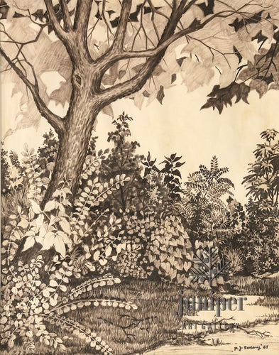 Summer Growth l, is a  reproduction from an original felt pen drawing by Paul J Sweany