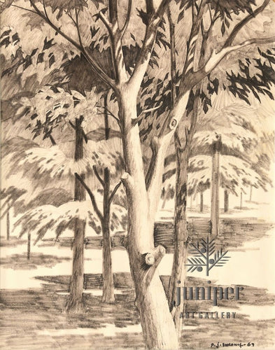 Tree Study, is a  reproduction from an original felt pen drawing by Paul J Sweany