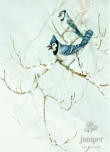 Winter Jays (reproduction from original watercolor by Paul J Sweany)