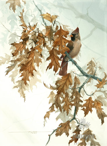 Female Cardinal on Oak Tree (reproduction from original watercolor by Paul J Sweany)