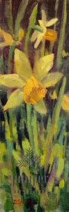 Daffodils, unframed oil painting by Donna Shortt