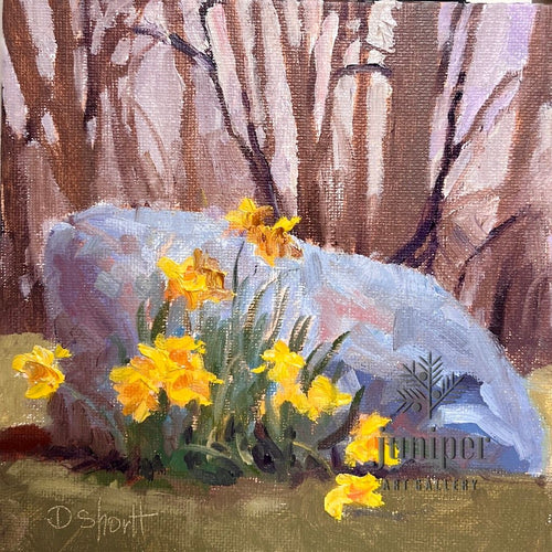 Daffodil Rock , unframed oil painting by Donna Shortt