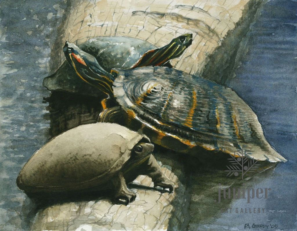 (Framed Reproduction) Three Turtles lV, by Brian Gordy